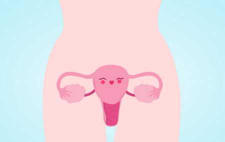 做供卵试管婴儿要等多久&试管包干套餐,子宫位置出现哪些情况时容易不孕不育
