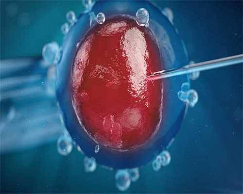 医院做供卵试管的是哪一家？&供卵生二胎值不值得,备孕期喝啤酒可以吗