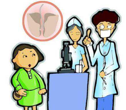 弱精百分之七的能做试管吗&怎样找供卵qq群,清宫表2026生男生女图准确性 2026年