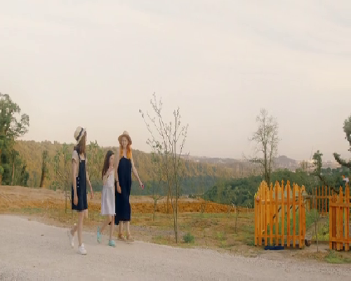 安徽供卵要花多少钱费用,安徽私立生殖医院:供卵试管安全吗?该不该尝试?