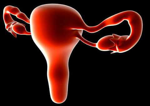 安徽权威助孕机构排行榜,安徽三代试管最好医院,2026助孕成功率排名前十公示