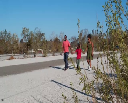 安徽试管婴儿成功率如何？,安徽私人医院的试管成功率如何？?