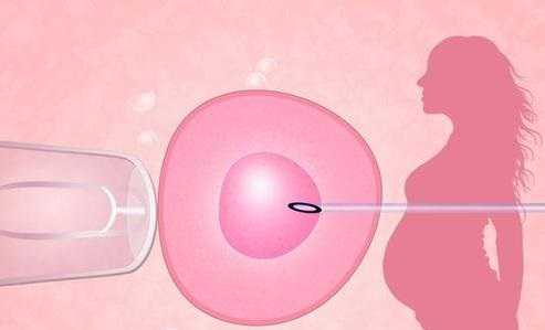 安医试管论坛_武汉试管聚缘优孕网|太原供卵试管包生男孩费用明细?费用8-2