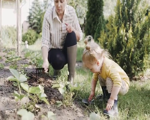 安徽试管供精,2026安徽省立医院可以做供精试管吗?附安徽供精试管医院排名